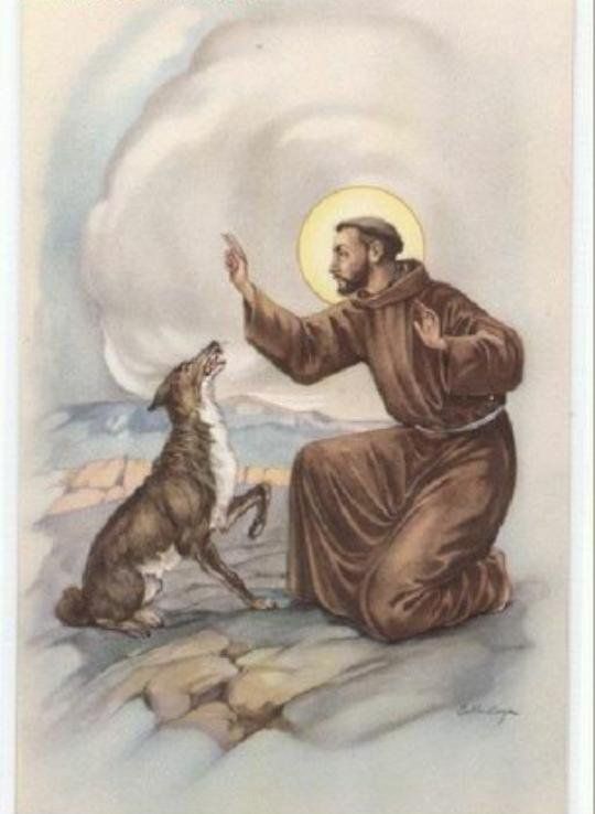 Sandramabelle's tweet photo. @M00300r100D_484 @AsociacionMi San Francisco de Asis tu amor por los animales es verdadero, dale salud a Ángel, no te lo vayas a llevar aún,  en oración por el https://t.co/VaT8uKjhB7
