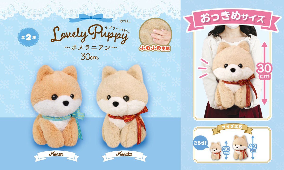 🎀2月新ぬいぐるみのご紹介🎀 『Lovely Puppy～ポメラニアン～30
