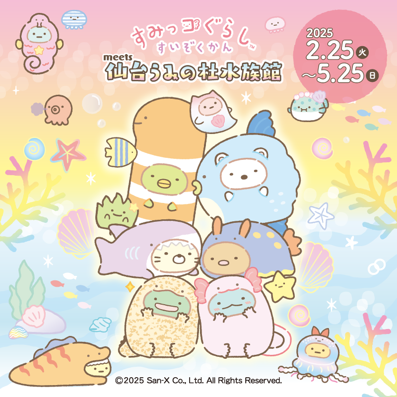 いよいよ2月25日(火)から『すみっコぐらしすいぞくかん meets 仙台うみの杜水族館』が開催されます✨
フォトコーナーやキャラクターパネル、スタンプラリー、限定のコラボグッズやコラボフードなど盛りだくさんです♪
詳しくはこちら▷https://t.co/dGIV8eZfDX
#すみっコ情報