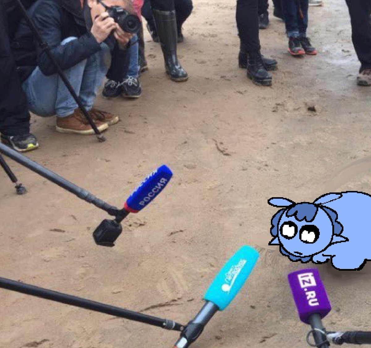 cheekymimic's tweet photo. || obsessed with drawing baby cheeky over this type of seal image https://t.co/azM5O5H2h2