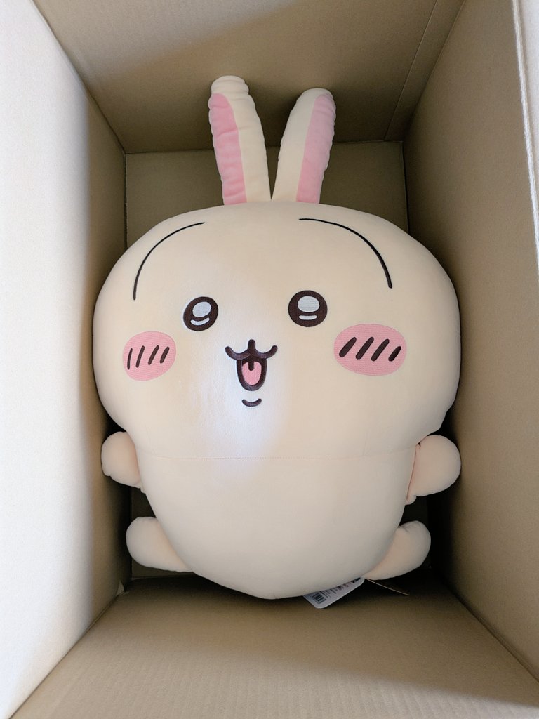 ウーラーヤハヤハ tweet media