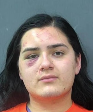 TTExulansic's tweet photo. This gendered offender (a male obviously) was just charged with murdering two women. Look how massive this dude is compared to an actual woman in this video. https://t.co/0fYKraXSod