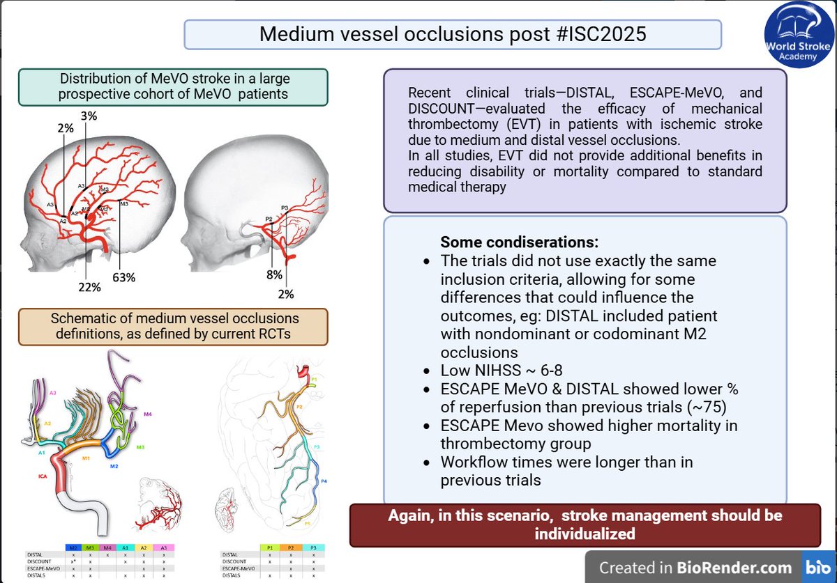 World Stroke Academy (@worldstrokeed) on Twitter photo #MondayTip
#MeVO
After #ISC2025, what’s next for stroke management in medium vessel occlusion?
🤔 DISTAL, ESCAPE-MeVO & DISCOUNT showed no EVT benefit over BMT
Will this change your practice?
<a href="/FishingNeurons/">Urs Martin Fischer</a> <a href="/mayank_G0/">Mayank Goyal</a> <a href="/TudorGJovin/">Tudor G. Jovin, MD</a> #MondayTip
#MeVO
After #ISC2025, what’s next for stroke management in medium vessel occlusion?
🤔 DISTAL, ESCAPE-MeVO & DISCOUNT showed no EVT benefit over BMT
Will this change your practice?
<a href="/FishingNeurons/">Urs Martin Fischer</a> <a href="/mayank_G0/">Mayank Goyal</a> <a href="/TudorGJovin/">Tudor G. Jovin, MD</a>