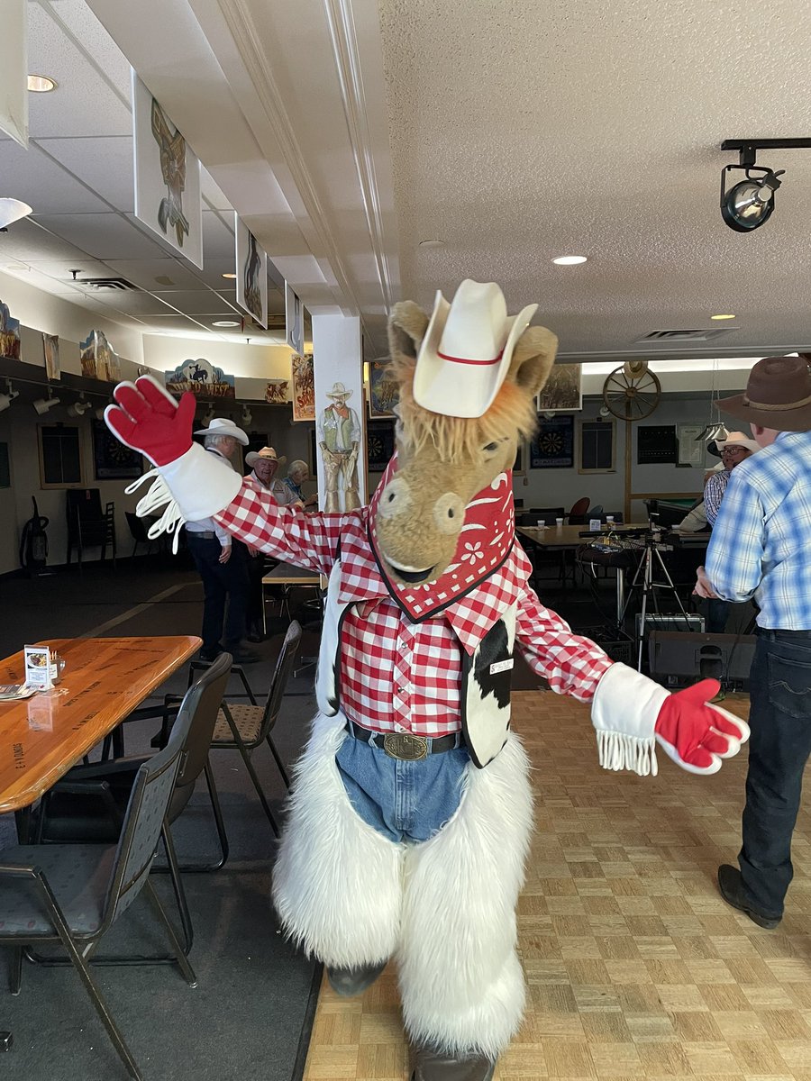 Harry The Horse tweet media