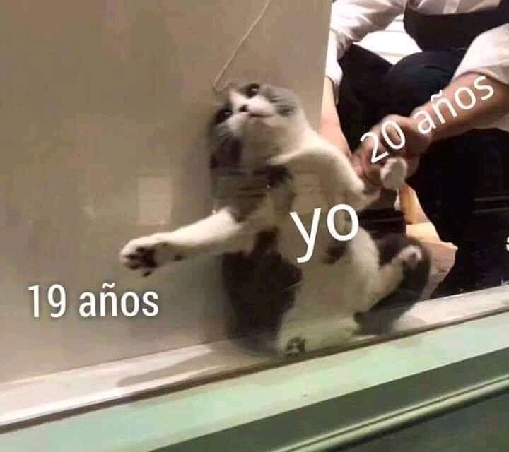 Soy ese