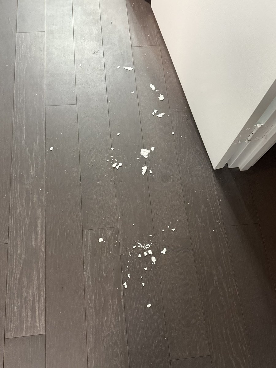 TwoZeros tweet media