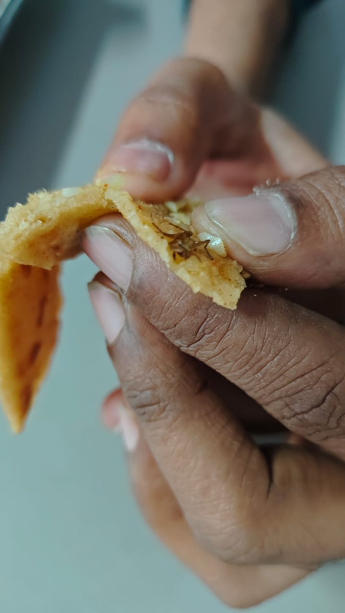 PraTyush_Rajj's tweet image. A dead spider was found in abes ghaziabad hostel food they assure us to give good quality food after taking lakhs This is too much..we students are living far from our home and getting this #Ghaziabad #college @AtulGargBJP @abesecofficial #StudentEssentials