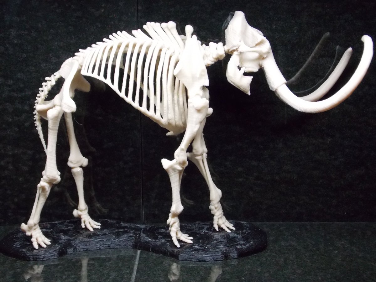 3DPrintWizard's tweet image. Add a touch of the prehistoric to your collection with our detailed 3D printed Wooly mammoth model. Perfect for dinosaur enthusiasts, collectors, and those looking for a unique statement piece.
3dprintedwonderworks.etsy.com/listing/187591…