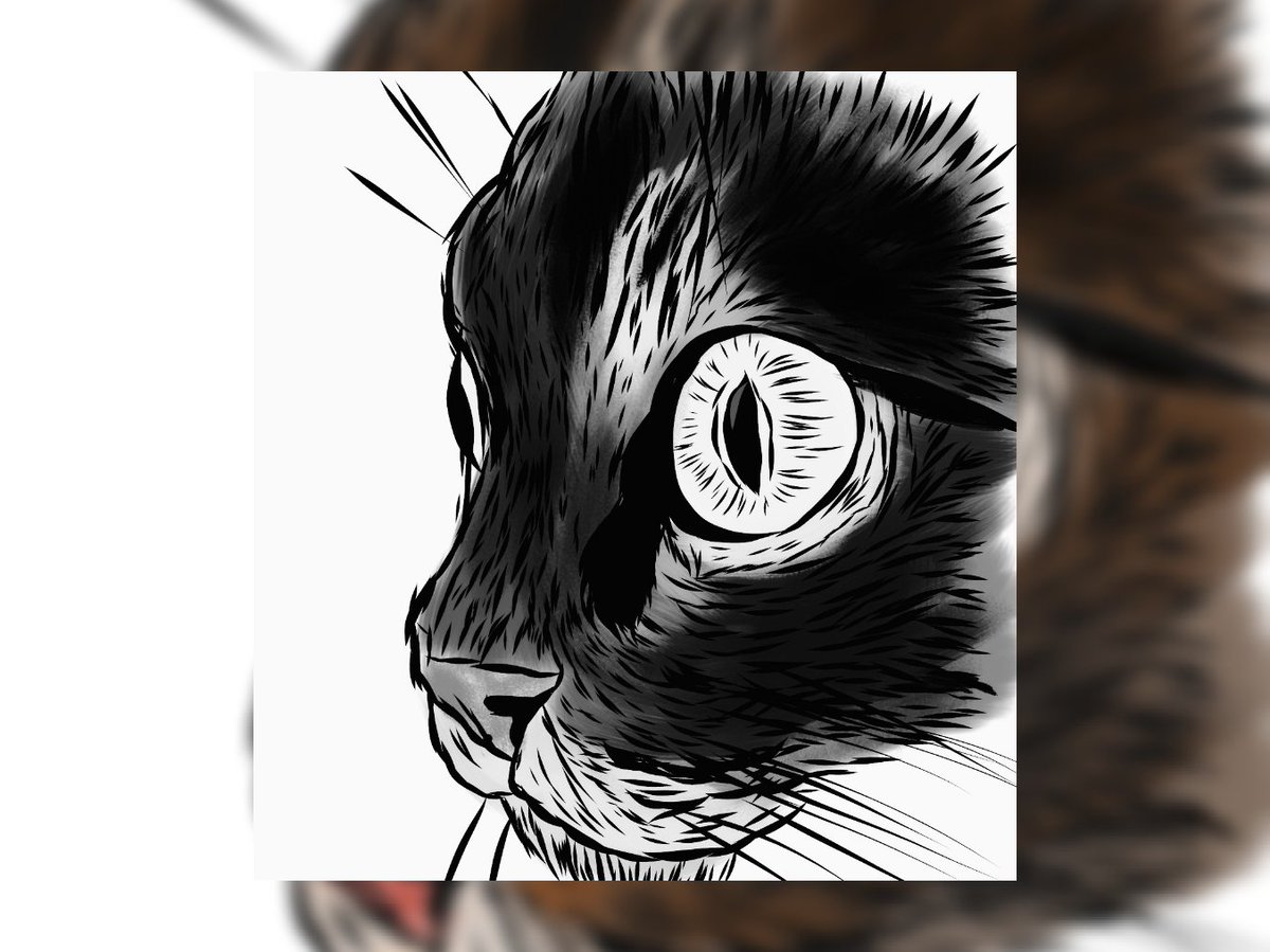 A cat face I drew. Played around with it a bit. Have a goodnight