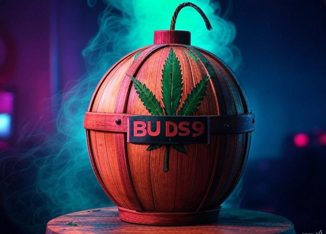 BUDS9✂︎ tweet media