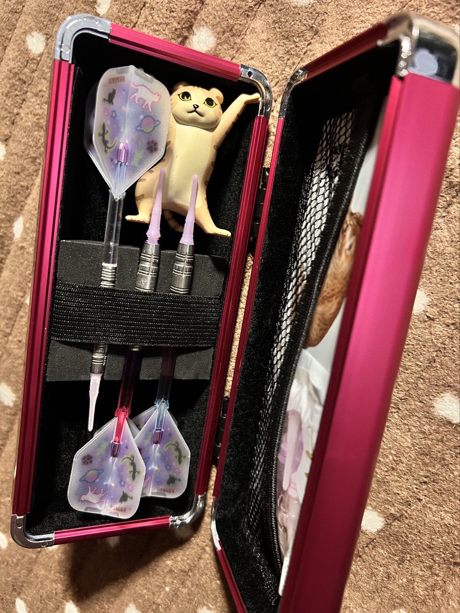 ひろみ (@Hiromi) / Posts / X