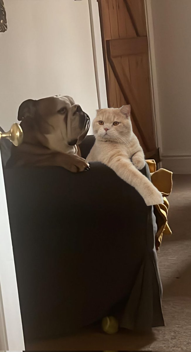 paulwallisster's tweet photo. @dollarsandart And waffle x https://t.co/WKptNPAn8X
