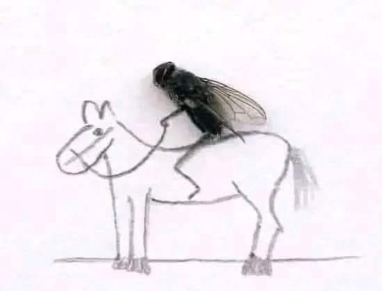 قــد يعتلِي ظهرَ الجيادِ ذبابُ
          ويقودُ أسرابَ الصقورِ غرابُ
ويسودُ رجّافٌ بمحفلٍ قومَهُ
           وعـليهِ من حللِ النفاقِ ثيابُ
وترَى الأسافلَ قَدْ تعالَى مجدُهُمْ
      والحــــــــــــرُّ فردٌ ما لهُ أصحابُ...؟