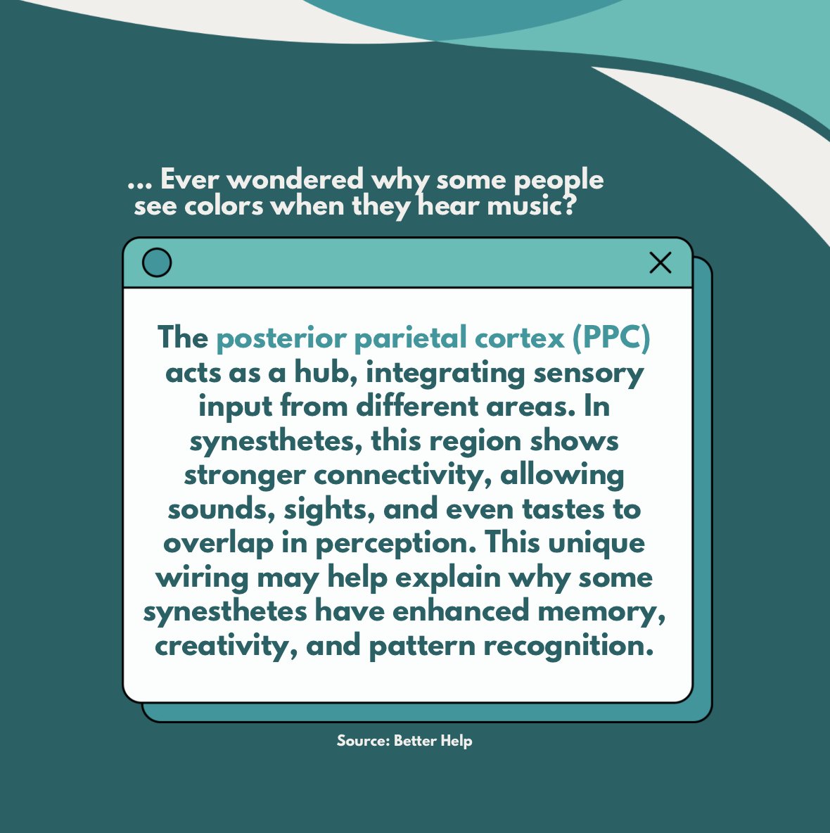 Did you know that people with synesthesia experience a world full of vibrant sensory connections? Read more about it below!

#simplyneuroscience #neuroscience #brain #synesthesia #science #sense #sensory #memory #creativity
