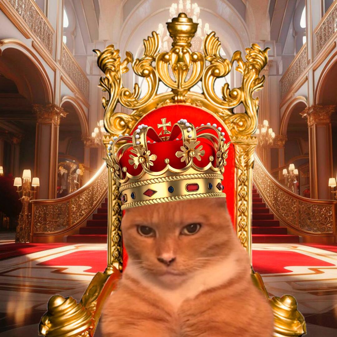 LookMaxxingCoin's tweet photo. I was crowned king of the hill @pumpdotfun on 2/17/2025, 9:56PM EST. Now I’m coming for more. https://t.co/Y8UyinLBMe