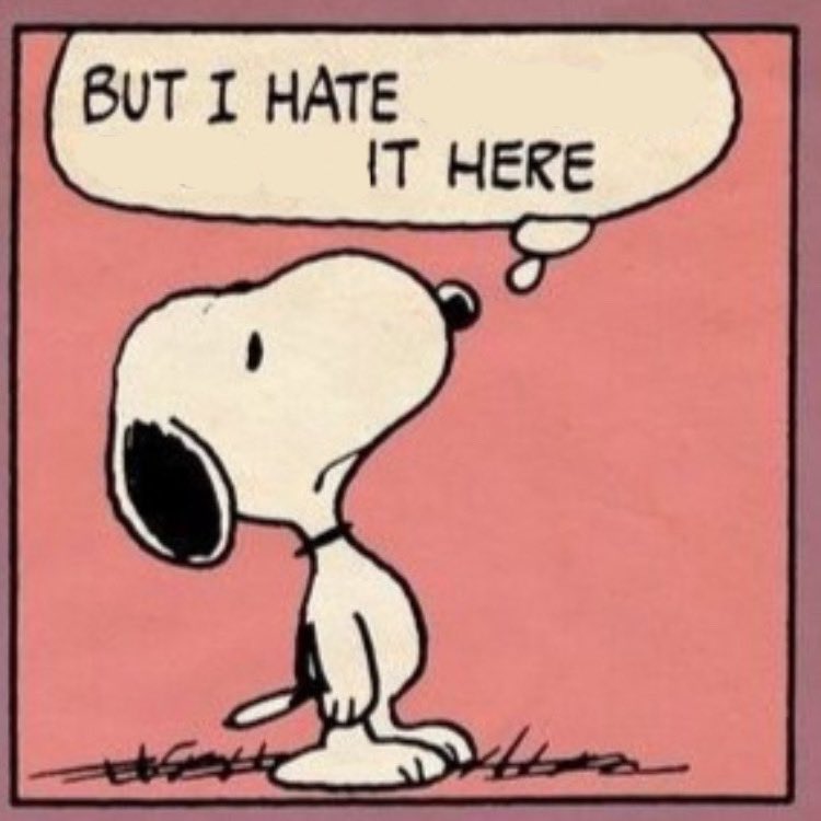 Nicole (@nickitdraws) on Twitter photo 