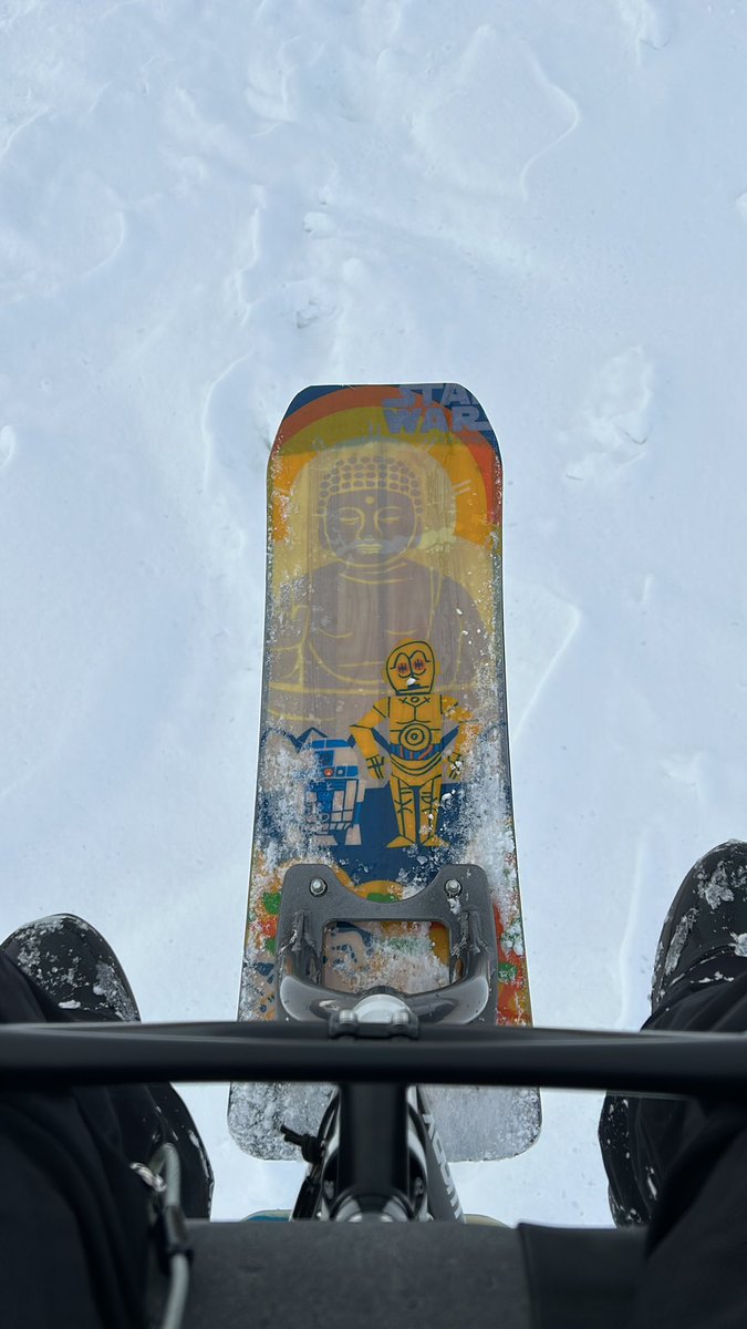 本日はお日柄もよく🌇