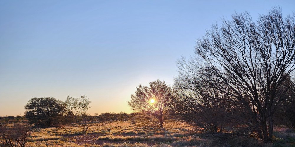 CSIROPublishing's tweet image. This account has been archived. Find us on our other channels to stay in touch:
👉 Bluesky: bsky.app/profile/csirop…
👉 LinkedIn: linkedin.com/company/csiro-…
👉 Instagram: instagram.com/csiropublishing
👉 Facebook: facebook.com/CSIROPUBLISHING
Or sign up for emails: publish.csiro.au/earlyalert