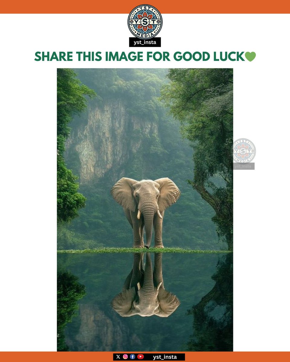 MemeUniverse_'s tweet photo. Good morning💚
#yst_insta #yst_media
#dowhatyoulove #sunlightbeforenoon #coffeelovers #couplememes👫 #funnycouplememes #forestdweller #intags #tinyelephant #naturelovers #calligraphylove #goodmorning #illustration #saveforest #dogloversclub #barberlove #love #wanderlust https://t.co/FqwQGE4YBx