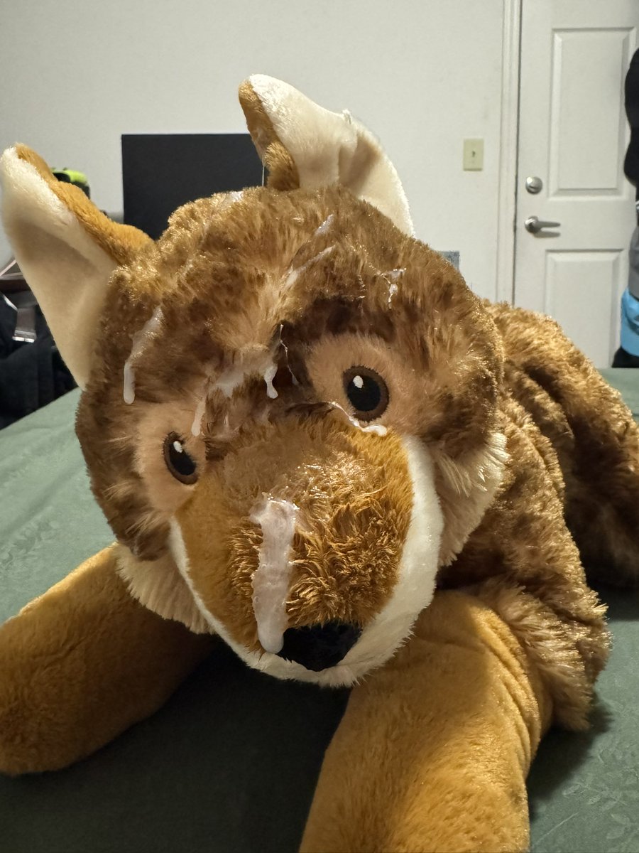 proud plushfucker over here https://t.co/X7CVA4Uwqp