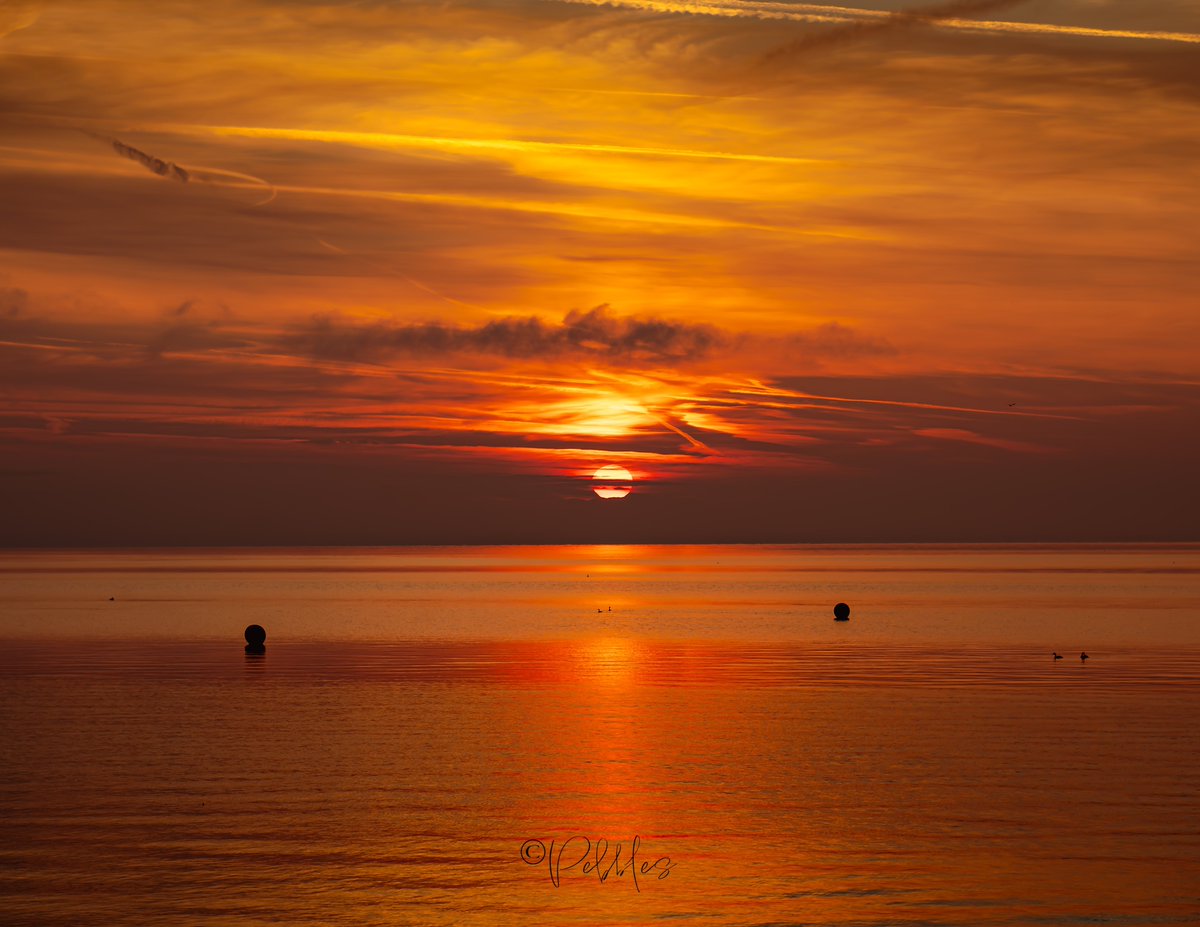 merakime's tweet image. 