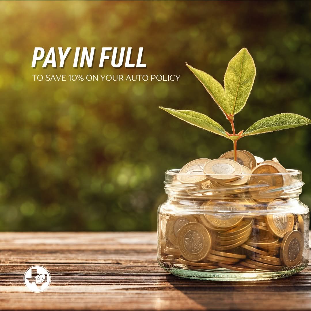 InsuranceGully's tweet image. Save more on your auto insurance! 🚗💨 Take advantage of the 10% Pay-in-Full Discount and keep more money in your pocket. 💰✅

#SanAngelo #SanAngeloTX #GermaniaInsurance #SaveMoreDriveHappy