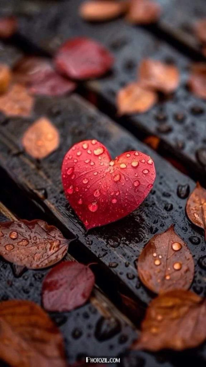 #صباح_الخير_والسعاده