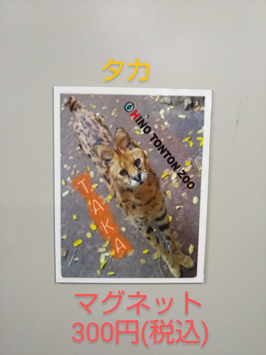 kazz256 (@kazz256) / X