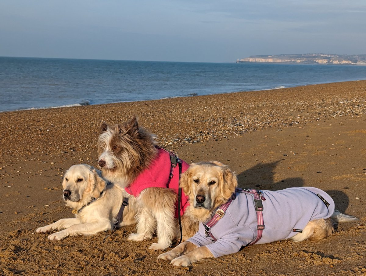 Morning everyone, another beautiful sunny start to the day ☀️