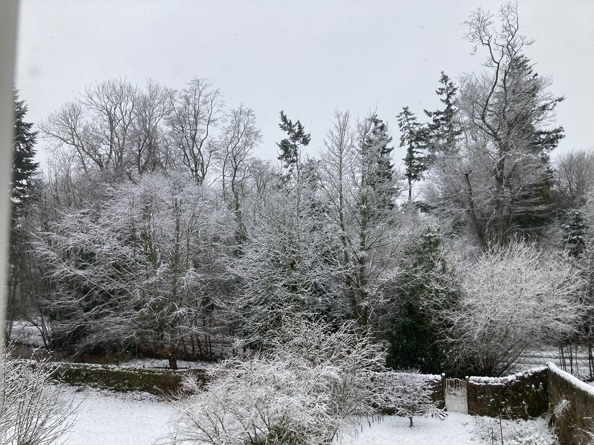 Ballindean Ryelands & Menmuir Oxford Downs tweet media