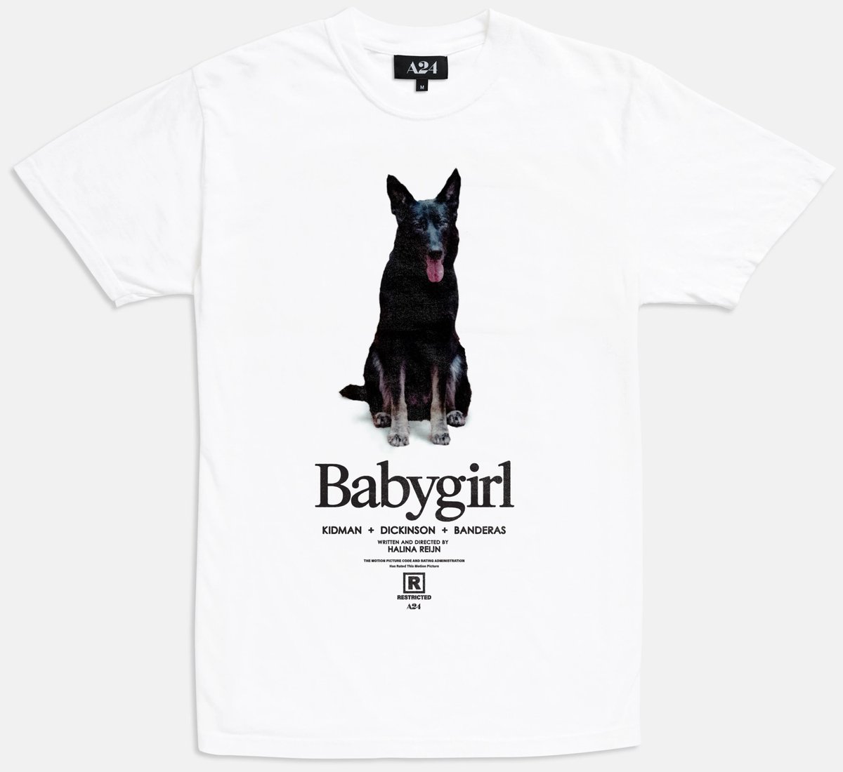 El Dios del cine es caprichoso y despoja de todo valor y repercusión social a obras tan prometedoras sin motivo aparente. Su última víctima: #HalinaReijin #BabygirlMovie. Un cuento oscuro sobre la necesidad de darle paso a lo no resuelto para terminar de forjar nuestro yo.