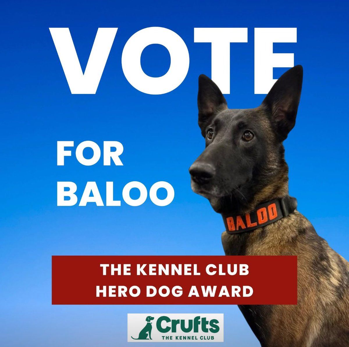 Vader (@vadergsdr) on Twitter photo PLEASE VOTE FOR BALOO you can vote and vote again! Lets help get this amazing dog the award she deserves for the incredible love she shows as a welfare support dog 🐾❤️🐾
crufts.org.uk/whats-on/the-k… <a href="/OscarKiloUK/">Oscar Kilo</a> <a href="/Chappers2013/">Chappers 🐾🐝 🙋♀️</a> <a href="/ERPDF/">Essex Retired Police Dogs Fund</a> PLEASE VOTE FOR BALOO you can vote and vote again! Lets help get this amazing dog the award she deserves for the incredible love she shows as a welfare support dog 🐾❤️🐾
crufts.org.uk/whats-on/the-k… <a href="/OscarKiloUK/">Oscar Kilo</a> <a href="/Chappers2013/">Chappers 🐾🐝 🙋♀️</a> <a href="/ERPDF/">Essex Retired Police Dogs Fund</a>