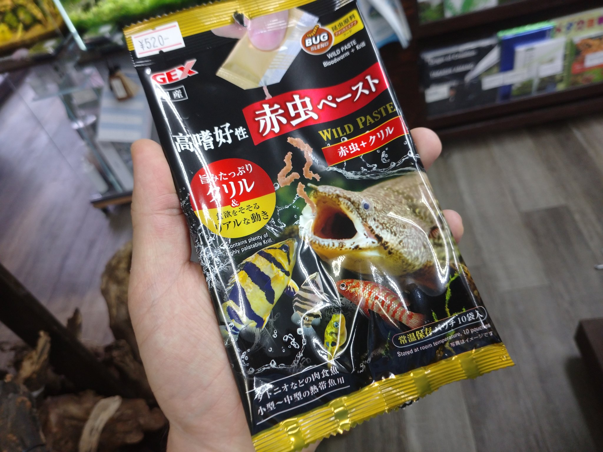 アオザメ幼体冷凍販売 アオザメ幼体冷凍販売