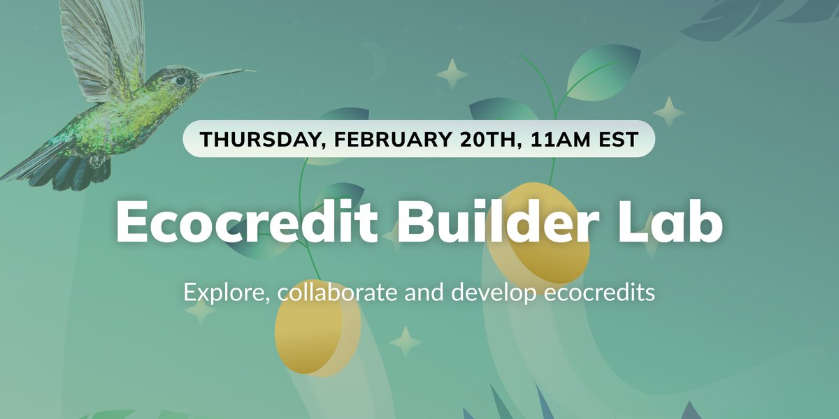 👀 Don’t miss our Ecocredit Builder Lab!

This month, we have some incredible Agroforestry methodology developers sharing about their experience and their method🌱

Join us to learn from our team and peers, ask questions, and share updates, ideas, and challenges. Get hands-on