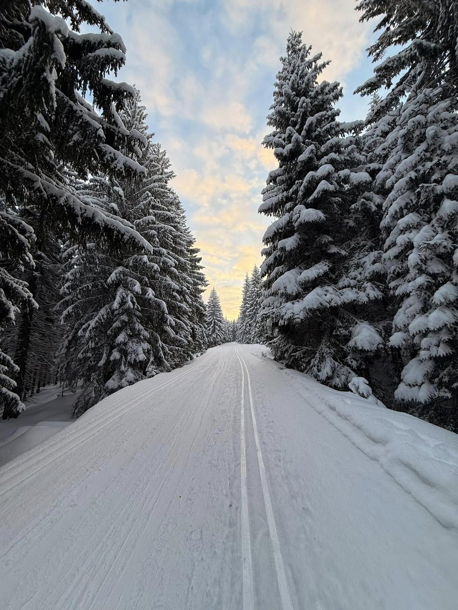 Bieg Piastów tweet media