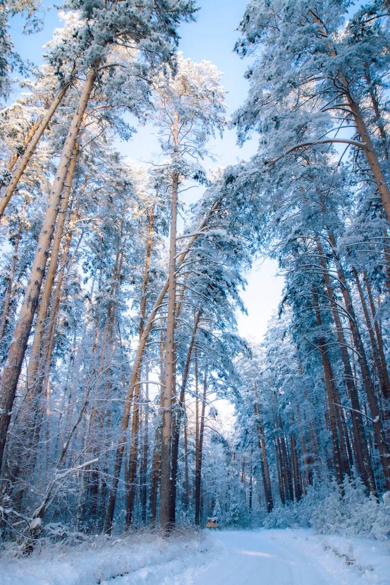 123 (@xetra_a) on Twitter photo 