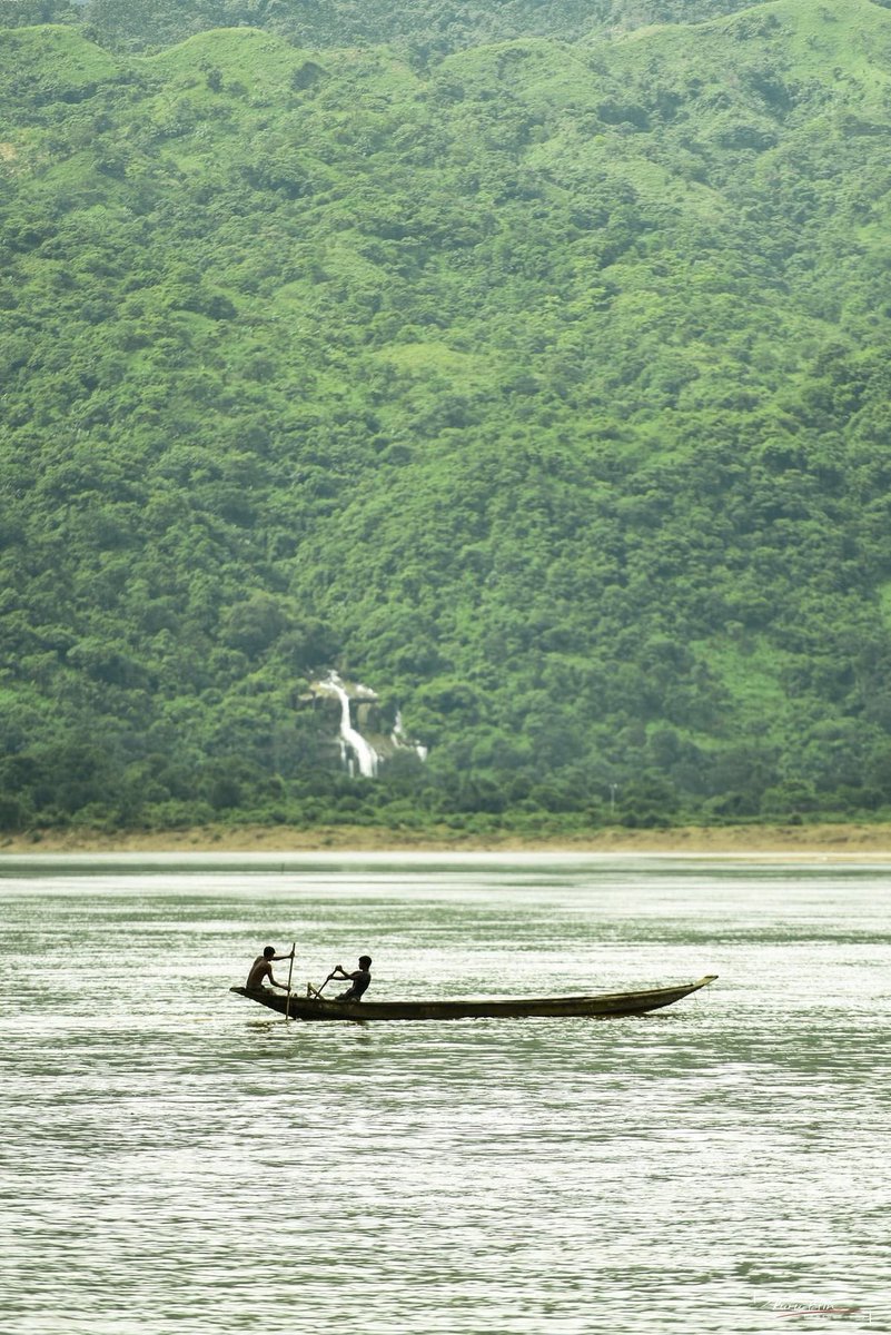 Ia ditengah danau yang luas, tapi tidak tenggelam 🛶