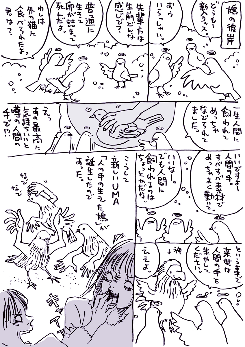 鳩の来世。 (1/1) 