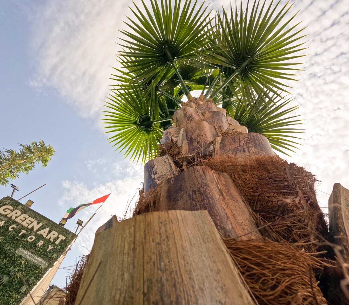 Greenmosswall's tweet image. 🌴✨ UV-Protected Artificial Palm Trees – Lifelike &amp;amp; Built to Last! ✨🌴

🌐 greenartfactory.ae
☎  Voice/WhatsApp:+971569588315
📧 info@greenartfactory.com

#PalmTreeDecor #ArtificialPalm #Palm #LuxuryLiving #GreenArtFactory #dxb #emirates #uae #GreenArtFactory