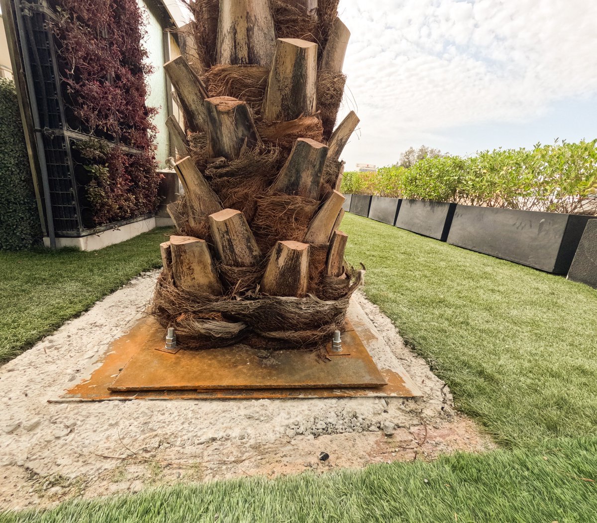 Greenmosswall's tweet image. 🌴✨ UV-Protected Artificial Palm Trees – Lifelike &amp;amp; Built to Last! ✨🌴

🌐 greenartfactory.ae
☎  Voice/WhatsApp:+971569588315
📧 info@greenartfactory.com

#PalmTreeDecor #ArtificialPalm #Palm #LuxuryLiving #GreenArtFactory #dxb #emirates #uae #GreenArtFactory