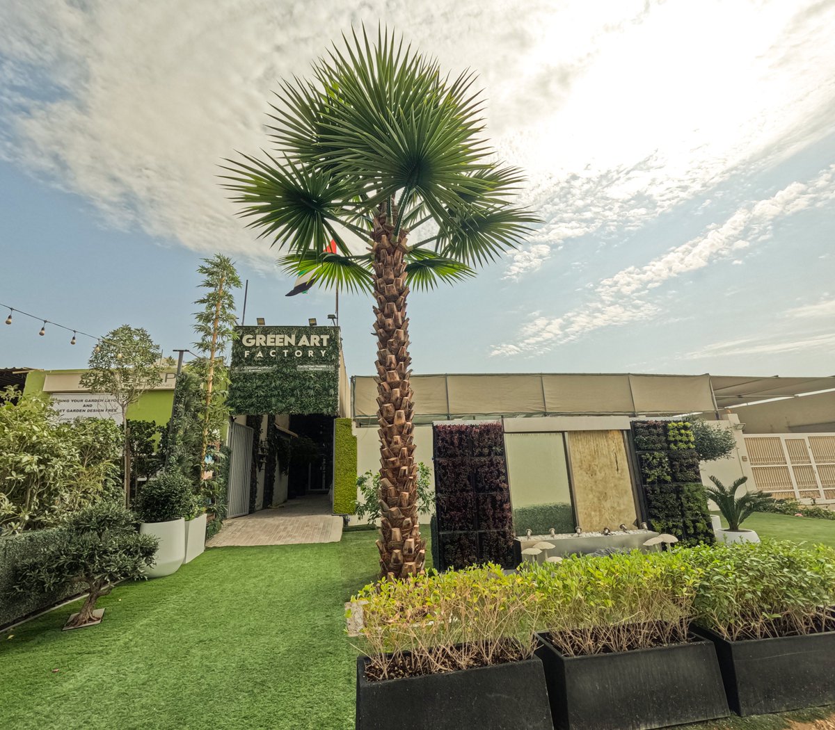 Greenmosswall's tweet image. 🌴✨ UV-Protected Artificial Palm Trees – Lifelike &amp;amp; Built to Last! ✨🌴

🌐 greenartfactory.ae
☎  Voice/WhatsApp:+971569588315
📧 info@greenartfactory.com

#PalmTreeDecor #ArtificialPalm #Palm #LuxuryLiving #GreenArtFactory #dxb #emirates #uae #GreenArtFactory