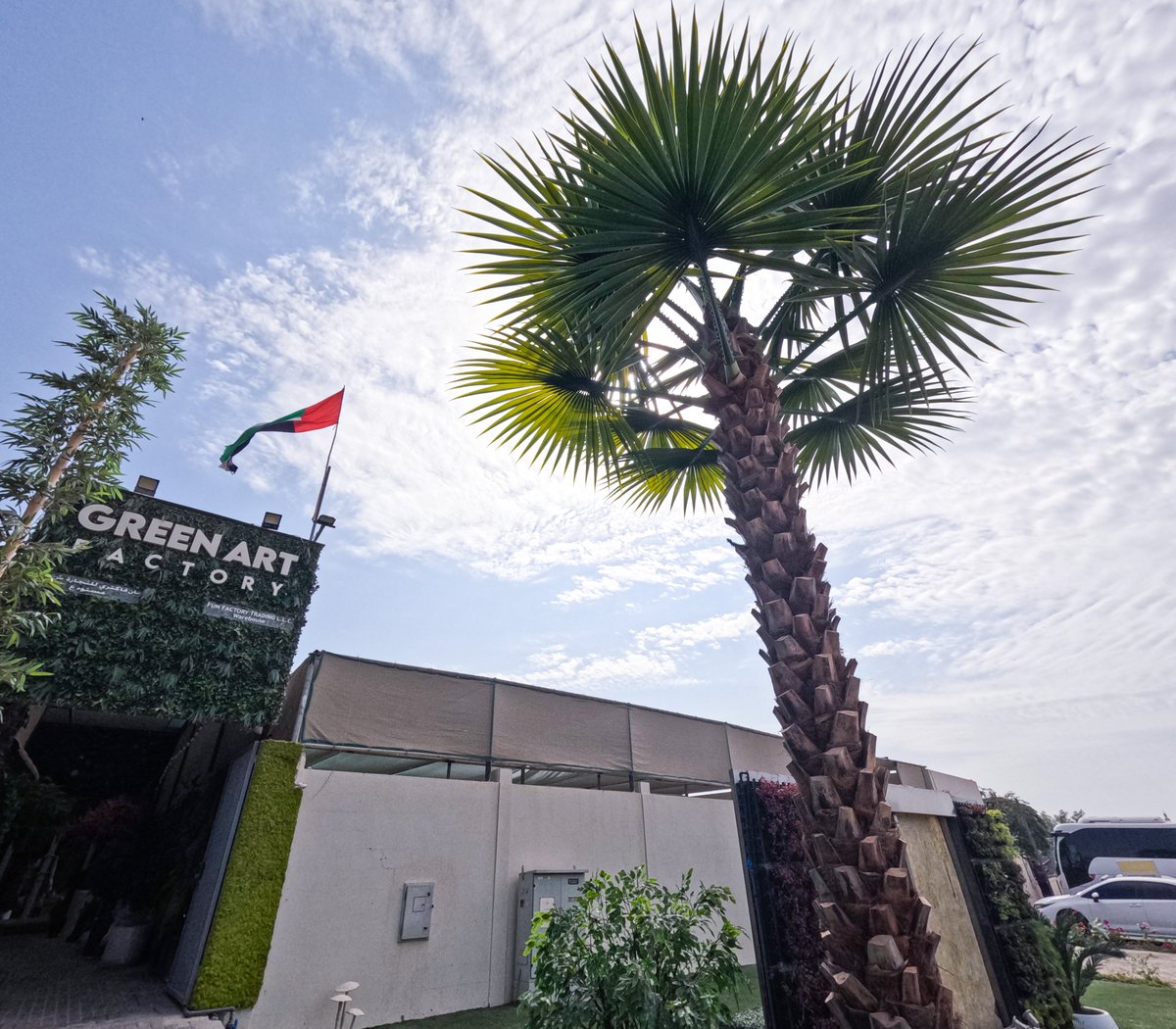 Greenmosswall's tweet image. 🌴✨ UV-Protected Artificial Palm Trees – Lifelike &amp;amp; Built to Last! ✨🌴

🌐 greenartfactory.ae
☎  Voice/WhatsApp:+971569588315
📧 info@greenartfactory.com

#PalmTreeDecor #ArtificialPalm #Palm #LuxuryLiving #GreenArtFactory #dxb #emirates #uae #GreenArtFactory