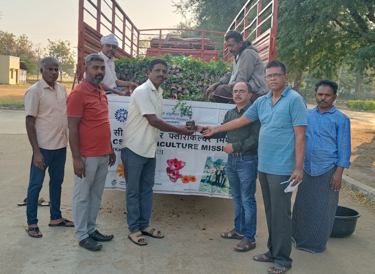 CSIR Floriculture Mission (@csirflori) on Twitter photo Team CSIR-NBRI organised floriculture awareness camp and distributed QPM of marigold, jasmine, tuberose and rose farmers of Hiriyuru taluk, Chitradurga district, Karnataka under CSIR Floriculture Mission on 14-02-2025, with cooperation of KVK, Babbur Farm, Chitradurga.
<a href="/akshasany/">Jagarnath Jai</a> Team CSIR-NBRI organised floriculture awareness camp and distributed QPM of marigold, jasmine, tuberose and rose farmers of Hiriyuru taluk, Chitradurga district, Karnataka under CSIR Floriculture Mission on 14-02-2025, with cooperation of KVK, Babbur Farm, Chitradurga.
<a href="/akshasany/">Jagarnath Jai</a>