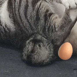 Bwt ngulek pemerintah oon,,