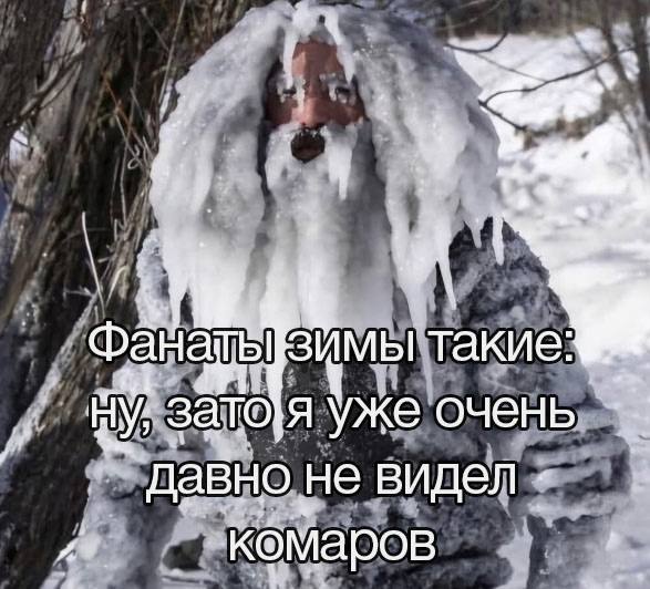 winter fans be like:
well, but I haven't seen a mosquito in a long time