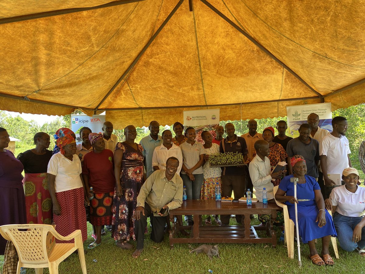 NemAfrica's tweet photo. NemAfrica, in collaboration with the Nice Project (under @Susagfoundation ) is training farmers in Busia &amp; Bungoma on the importance of healthy seedlings in vegetable production. Quality seedlings boost yield, reduce pests &amp; ensure resilient crops. @IITA_CGIAR @icipe @Cipotato https://t.co/JV93EZYZos