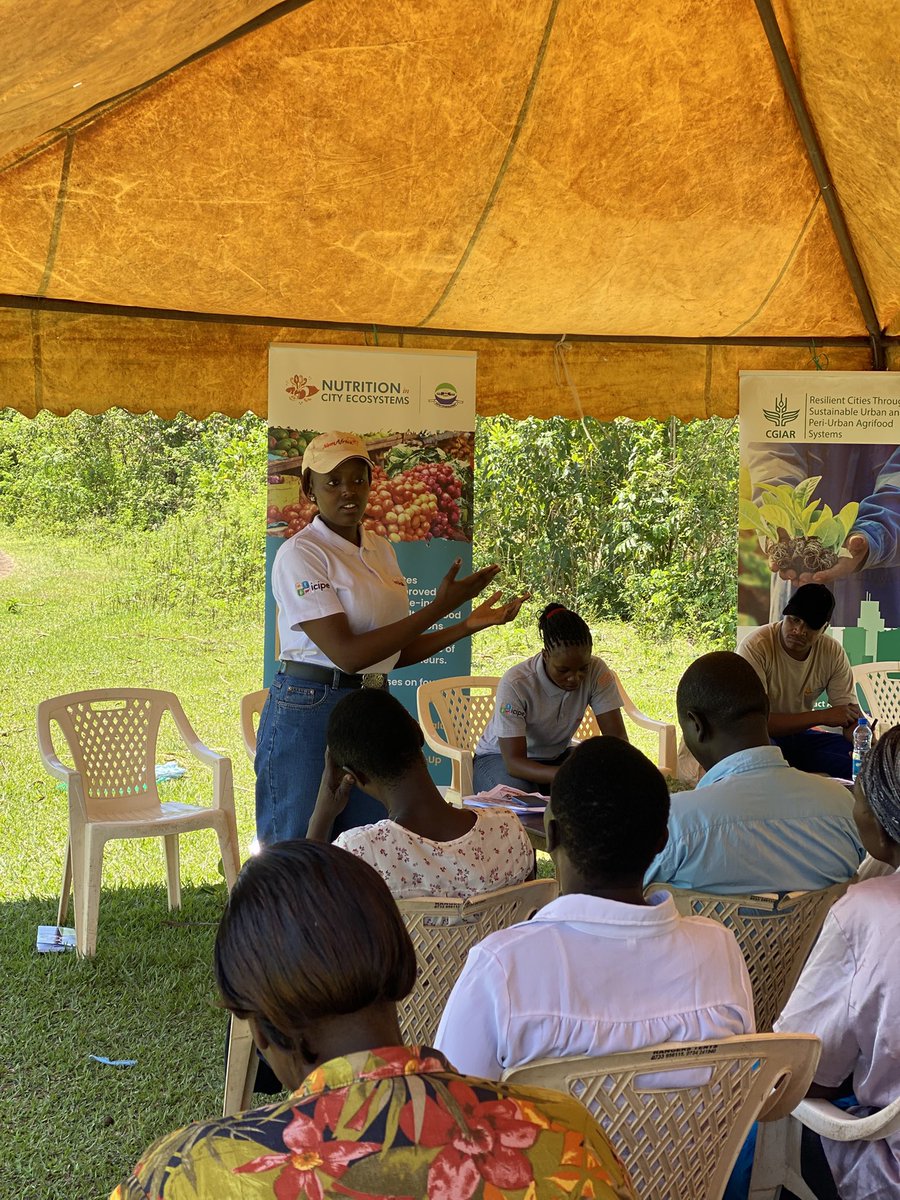 NemAfrica (@nemafrica) on Twitter photo NemAfrica, in collaboration with the Nice Project (under <a href="/Susagfoundation/">Sustainable Agriculture Foundation (SAF)</a> ) is training farmers in Busia & Bungoma on the importance of healthy seedlings in vegetable production. Quality seedlings boost yield, reduce pests & ensure resilient crops. <a href="/IITA_CGIAR/">IITA</a> <a href="/icipe/">icipe</a> <a href="/Cipotato/">International Potato Center</a> NemAfrica, in collaboration with the Nice Project (under <a href="/Susagfoundation/">Sustainable Agriculture Foundation (SAF)</a> ) is training farmers in Busia & Bungoma on the importance of healthy seedlings in vegetable production. Quality seedlings boost yield, reduce pests & ensure resilient crops. <a href="/IITA_CGIAR/">IITA</a> <a href="/icipe/">icipe</a> <a href="/Cipotato/">International Potato Center</a>