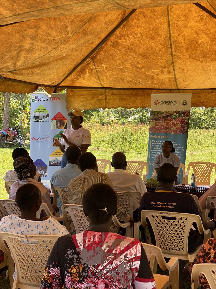 NemAfrica's tweet photo. NemAfrica, in collaboration with the Nice Project (under @Susagfoundation ) is training farmers in Busia &amp; Bungoma on the importance of healthy seedlings in vegetable production. Quality seedlings boost yield, reduce pests &amp; ensure resilient crops. @IITA_CGIAR @icipe @Cipotato https://t.co/JV93EZYZos