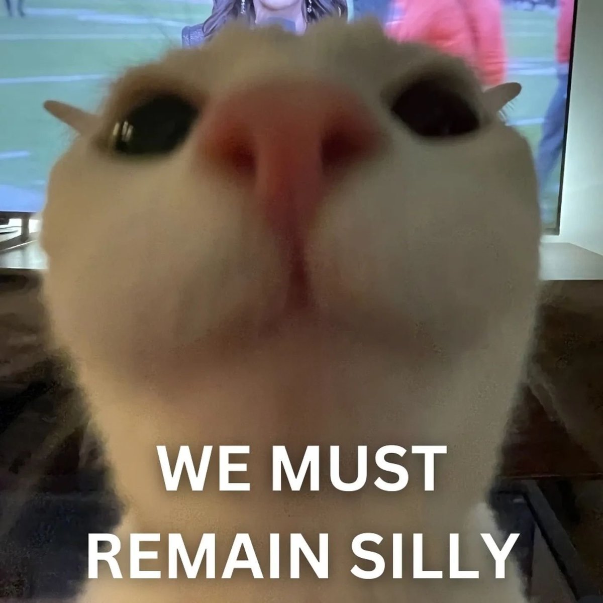 TO ALL MY SILLY SILLY FEELERS OUT THEIR