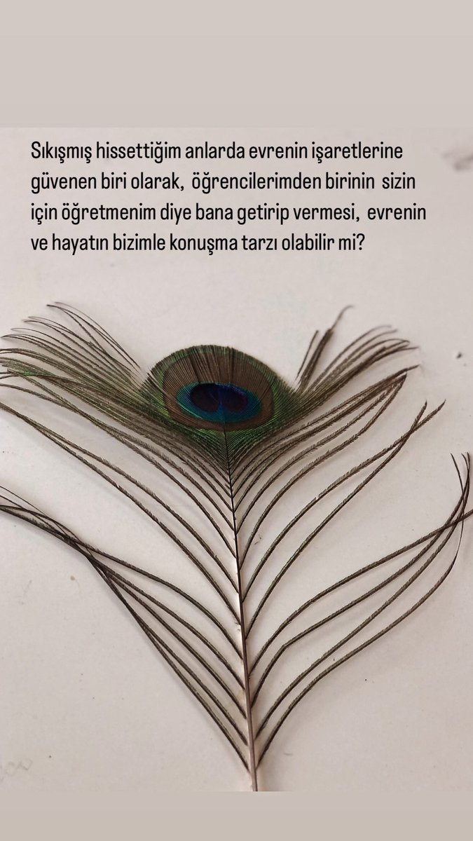 Günaydın 🌞  #öğretmen